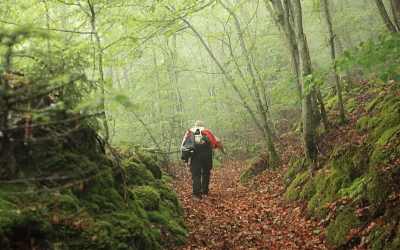 Patrimoine de Valbonnais