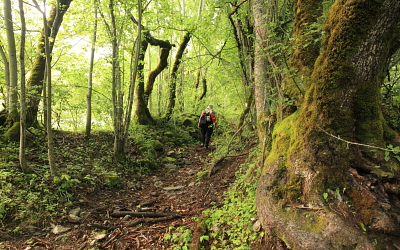 Patrimoine de Valbonnais