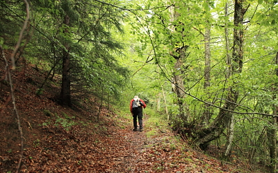 Patrimoine de Valbonnais
