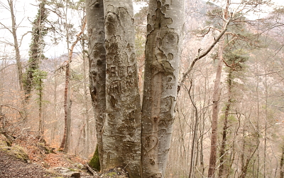 Patrimoine de Valbonnais