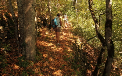 Patrimoine de Valbonnais