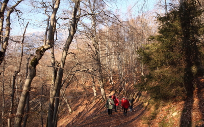 Patrimoine de Valbonnais