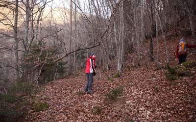 Patrimoine de Valbonnais