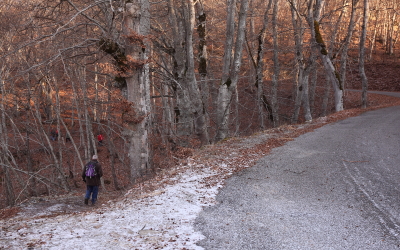 Patrimoine de Valbonnais