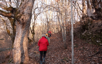 Patrimoine de Valbonnais