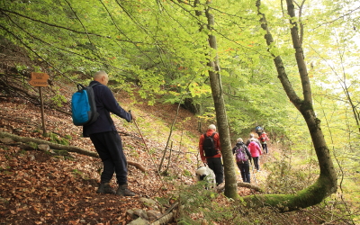 Patrimoine de Valbonnais