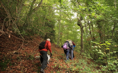 Patrimoine de Valbonnais