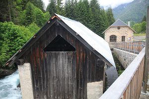 Y21_52792.jpg